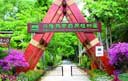 &#20048;&#40060;&#25163;&#26426;&#31449;&#20837;&#21475;&#45;&#20048;&#40060;&#111;&#110;&#108;&#105;&#110;&#101;&#40;&#20013;&#22269;&#41;